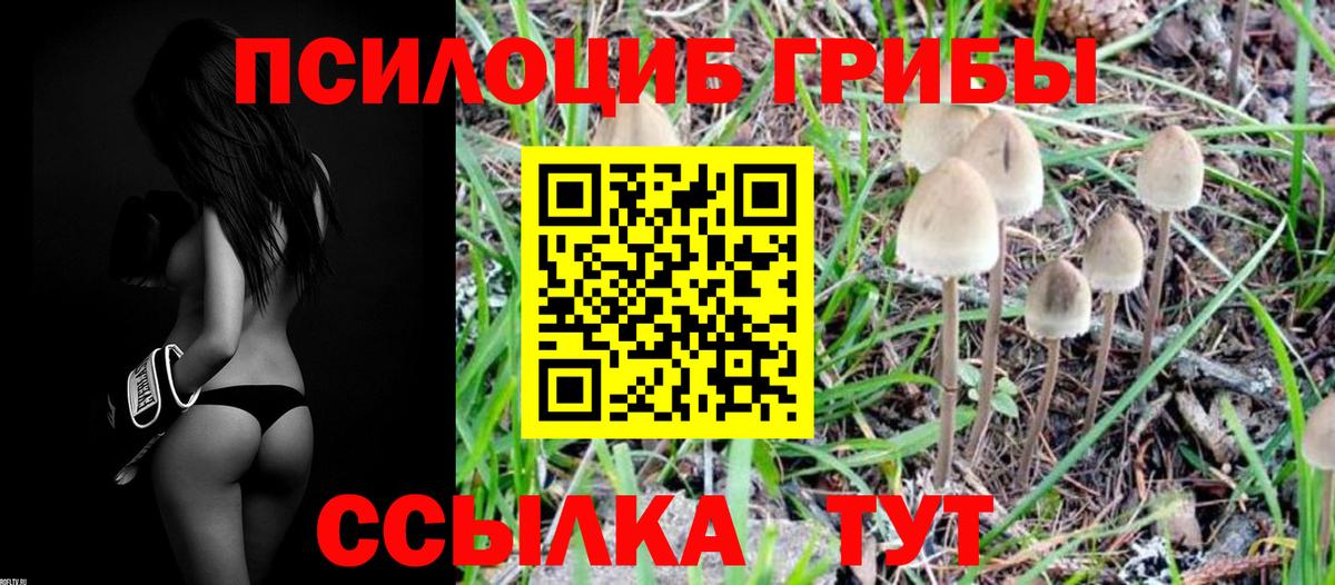 Топки  Галлюциногенные грибы Psilocybine cubensis  Вход с VPN 
