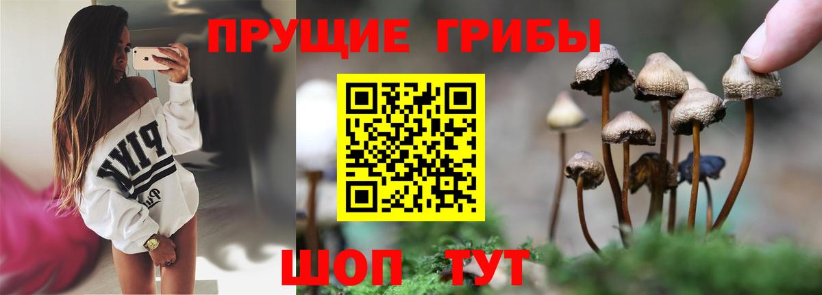 Псилоцибиновые грибы ЛСД Топки